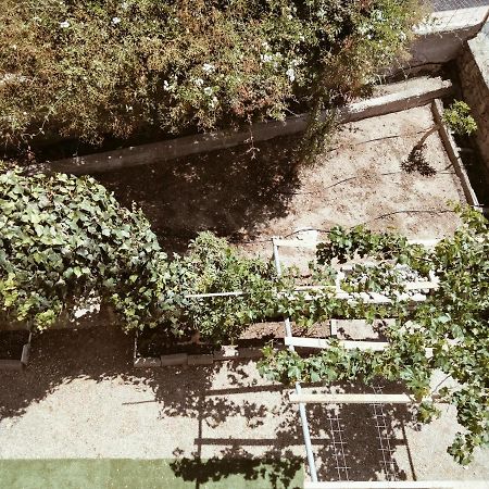Hotel Golden Star Agia Marina  Exterior foto