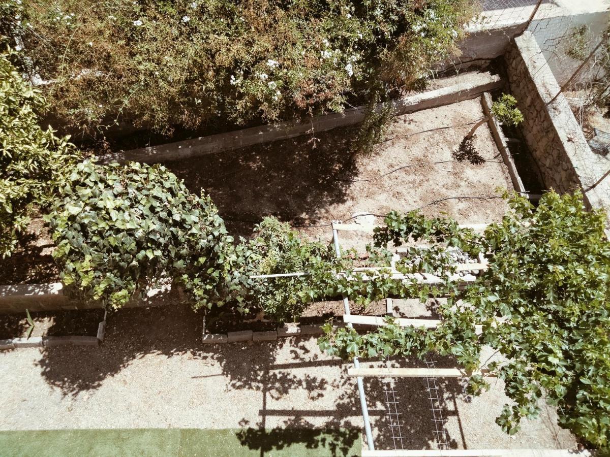 Hotel Golden Star Agia Marina  Exterior foto