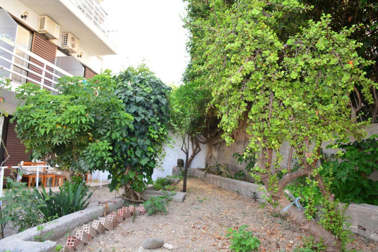 Hotel Golden Star Agia Marina  Exterior foto
