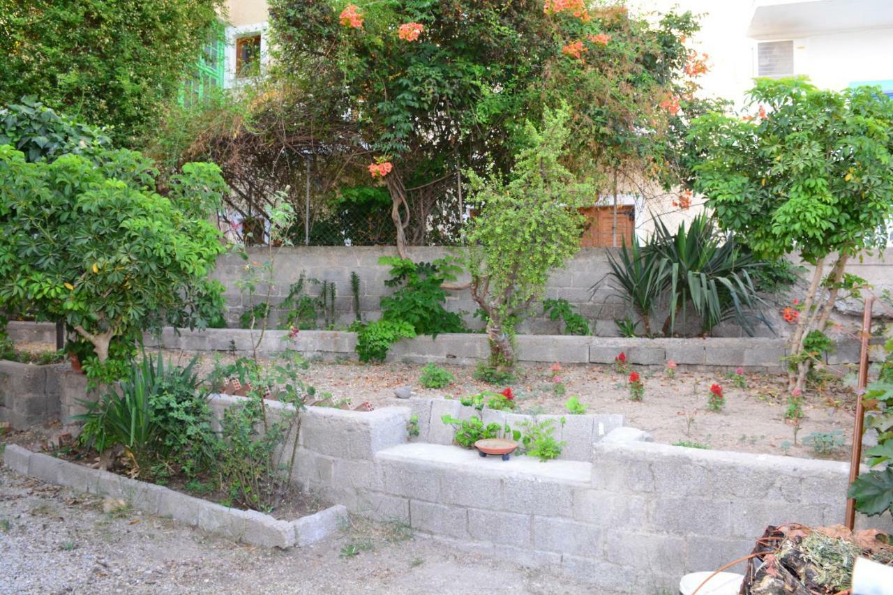 Hotel Golden Star Agia Marina  Exterior foto